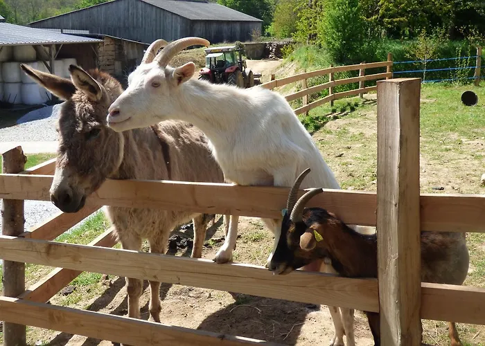 Oda ve Kahvaltı Le Vallon Des 5 Roses Saint-Hilaire-du-Maine