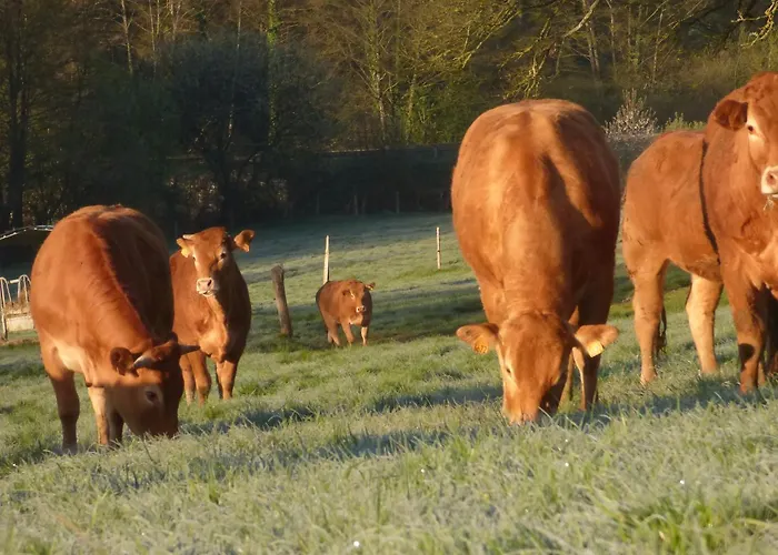 Oda ve Kahvaltı Le Vallon Des 5 Roses